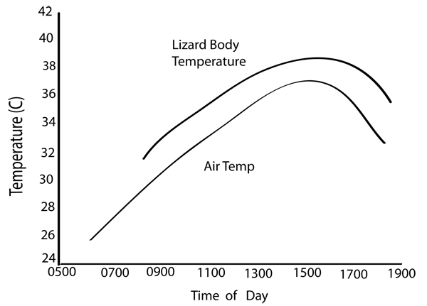 thermoconformity