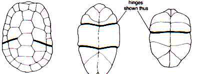 Different joint arrangements